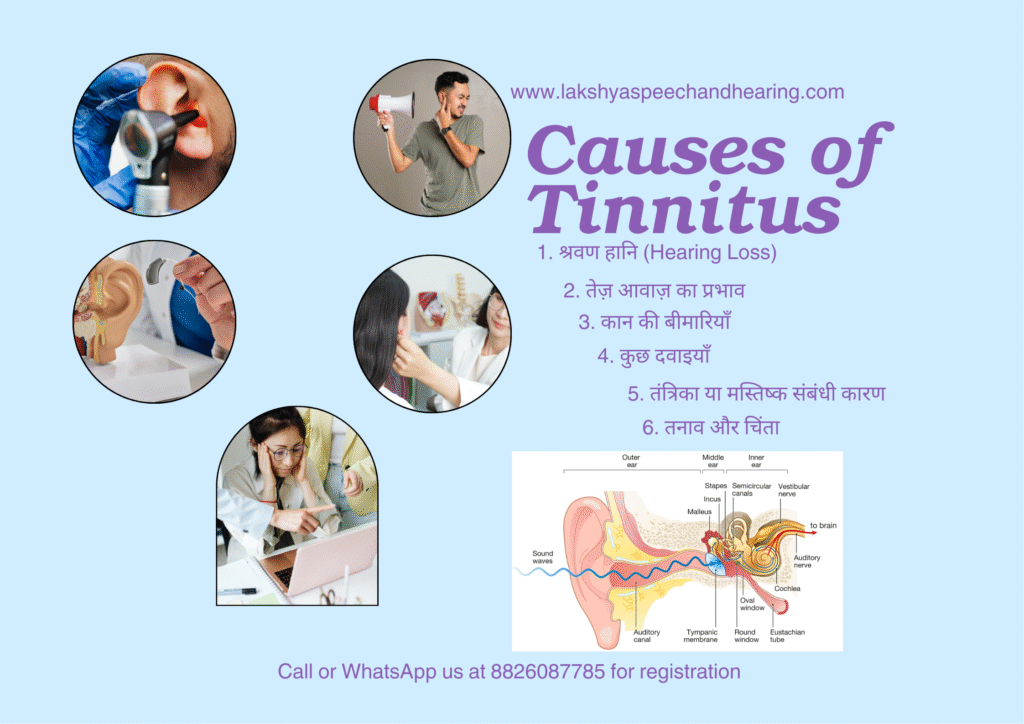 Causes of Tinnitus